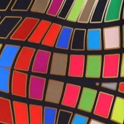 Overig Carnavalsjas Spectacular Pantone Voor Dames 5 Overig Carnavalsjas Spectacular Pantone Voor Dames -Carnavalskleding Winkel carnavalsjas spectacular pantone voor dames 3