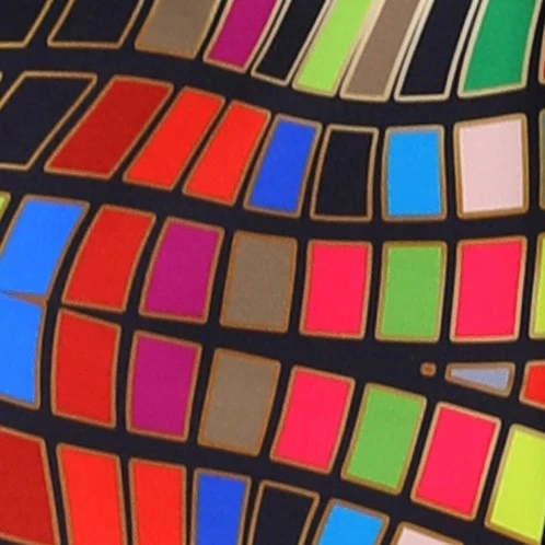 Overig Carnavalsjas Spectacular Pantone Voor Dames 3 Overig Carnavalsjas Spectacular Pantone Voor Dames - Afbeelding 3