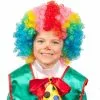 Overig Clownspruik Multi Voor Kinderen