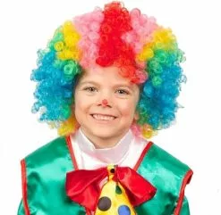 Overig Clownspruik Multi Voor Kinderen