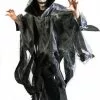 Overig Halloween Cape Stroken Grijs