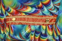 Overig Heren Carnavalsjas Orange Rainbow Feathers 7 Overig Heren Carnavalsjas Orange Rainbow Feathers -Carnavalskleding Winkel heren carnavalsjas orange rainbow feathers detail