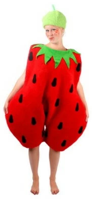 Overig Kostuum Aardbei