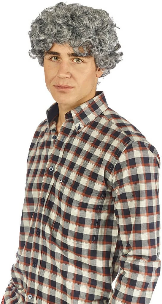 Overig Pruik Heer Krullend Grijs 4 Overig Pruik Heer Krullend Grijs - Afbeelding 4