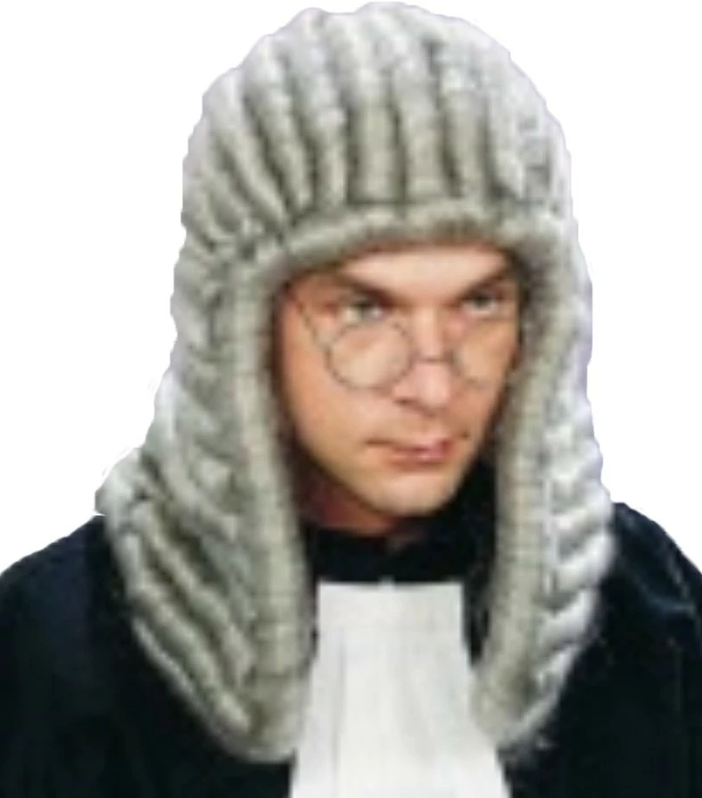 Overig Pruik Rechter Luxe Grijs 1 Overig Pruik Rechter Luxe Grijs